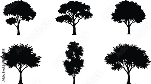 Collection of black tree silhouettes, natural plant shapes, forest elements, landscape design resources, isolated botanical trees illustration for nature, garden, and environment concept