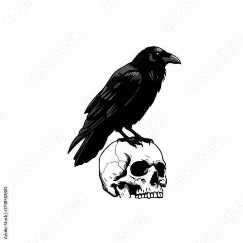 Gothic Black Crow Perched on Skull Vector Illustration
