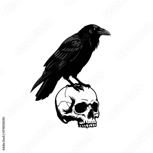 Gothic Monochrome Vector Illustration of a Raven Perched on a Human Skull