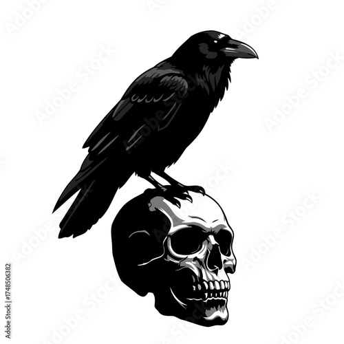 Dramatic Monochrome Vector Illustration of a Raven Perched on a Human Skull