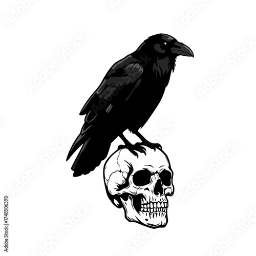 Gothic Raven Perched on Human Skull Vector Illustration