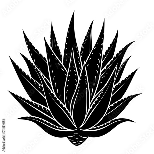 vector silhouette of a plant