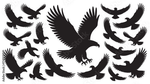 Collection of eagle silhouettes in various flying positions vector illustration for freedom and strength concepts isolated on white background