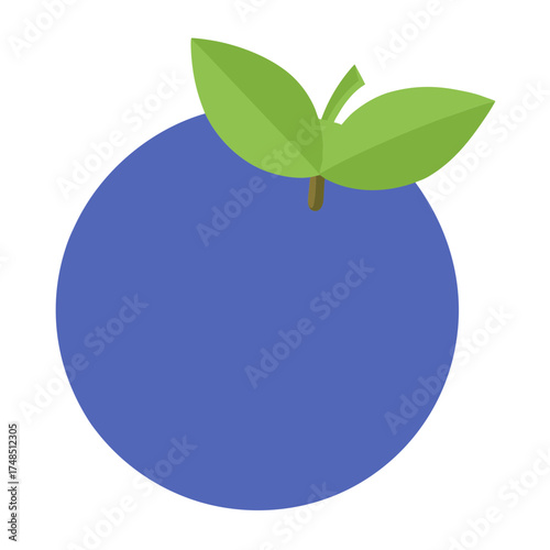 Fresh blueberry vector illustration isolated on white clean background vector illustration