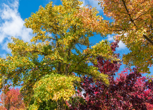 Feuillage d’automne