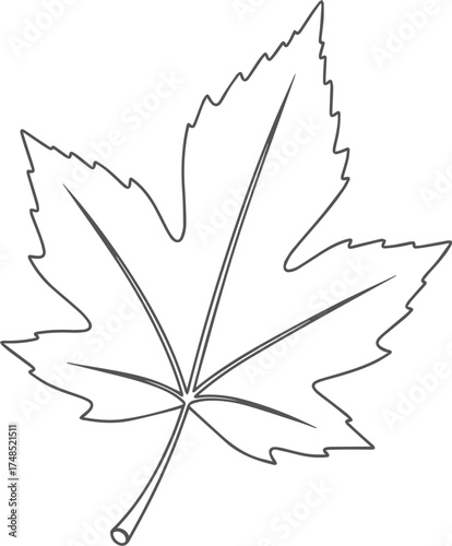 Simple Black and White Leaf Illustration