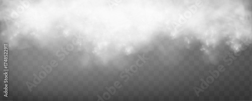 Realistic fog layer spreading across the bottom of the frame. Perfect for eerie scenes, forest landscapes, or haunted visuals. 