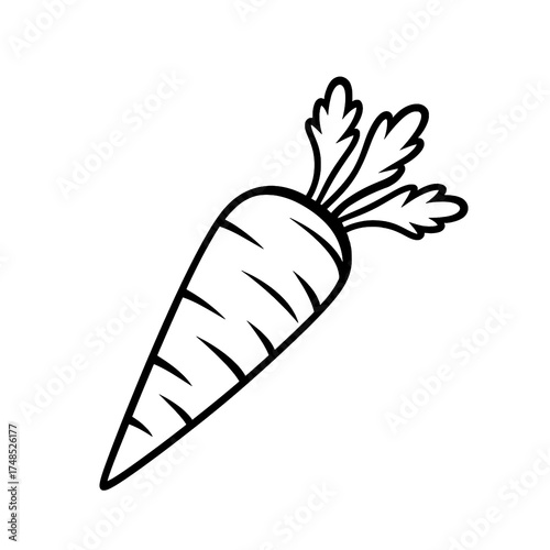 Black and White Carrot Vector Illustration
 
 
 