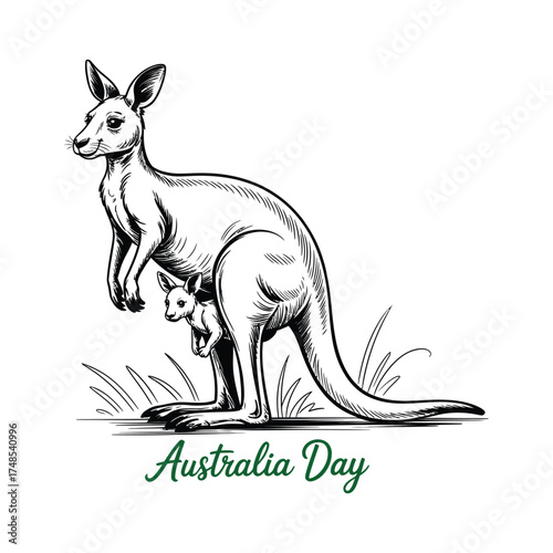 Kangaroo with Joey Illustration for Australia Day