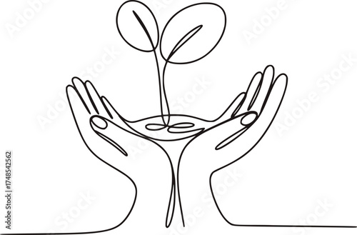 Delicate hands cradle a growing sprout growth care