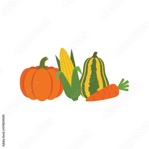 Autumn harvest vegetables assortment pumpkin corn squash carrot healthy food concept vector