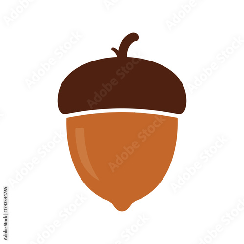 Stylized acorn icon simple autumn seed nature symbol woodland nut cartoon element vector