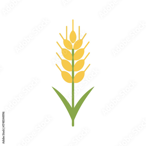 Golden ripe wheat ear stalk with green leaves agricultural harvest food grain crop symbol vector