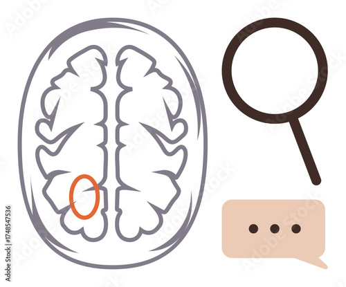 Brain diagram with marked region, magnifying glass for focus, and chat bubble symbolizing communication. Ideal for neuroscience, cognition, research, language processing, education, problem-solving