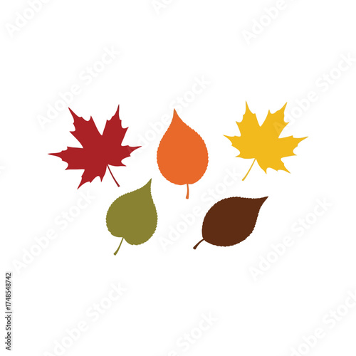 Colorful autumn leaves collection seasonal fall foliage nature elements vector