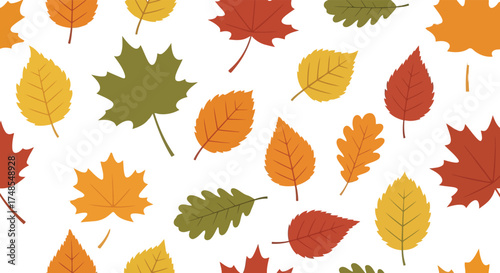 Autumn leaf collection assorted fall foliage seasonal decor element vector