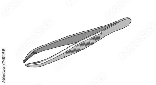 Precision Stainless Steel Tweezers with Serrated Grip for Fine Manipulation.