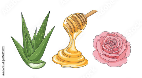 Aloe Vera Honey and Pink Rose for Natural Skincare Ingredients.