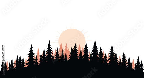 Silhouette of Evergreen Trees with Rising Sun.