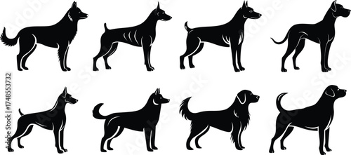 Dog Silhouette Set Vector Illustration Pet Animal Artwork Collection of Different Breed Silhouette Icons Hunting Guard Dog Silhouette Pack Graphic Symbols Variety Domestic Pet Silhouette Vector