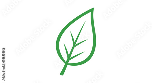 Simple Green Leaf Icon with Veins Stylized Outline.