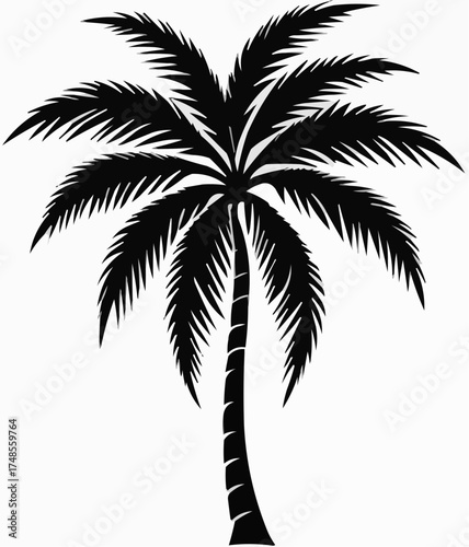 palm tree silhouette