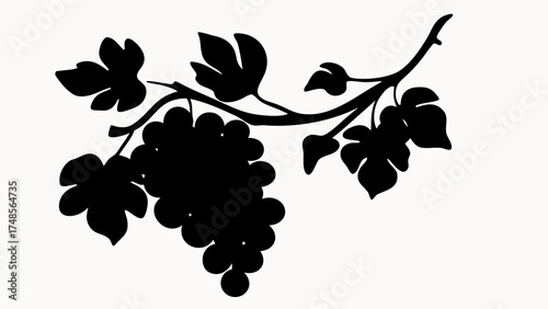 Silhouette of grapes hanging from a vine with leaves in a stark black and white composition style image