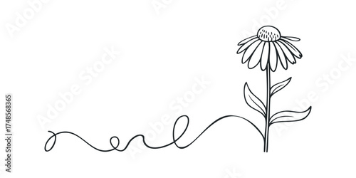 Line Drawing of a Single Flower with Curled Stem