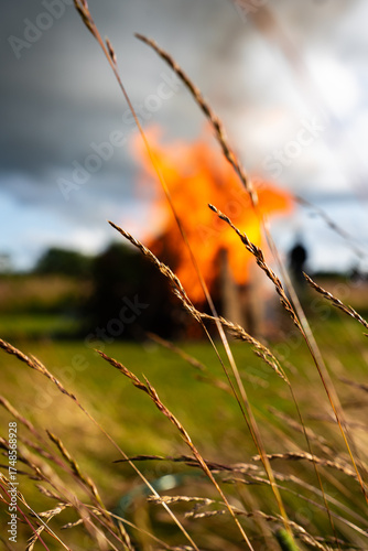 swaying tall grass with blurry large bonfire in the background vertical view and intense burning.