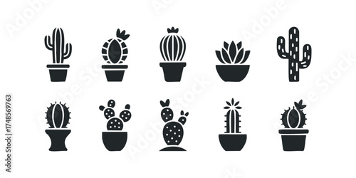 Collection of Potted Cactus Icons
