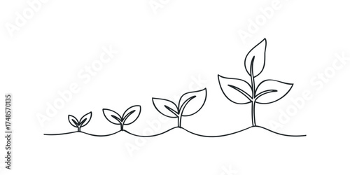 Sprout growth stages infographic line art