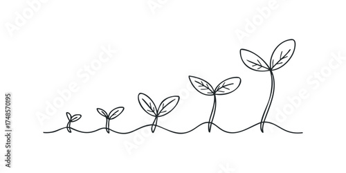 Seedling growth progression in a simple line drawing