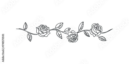 Elegant line art rose vine with leaves border design