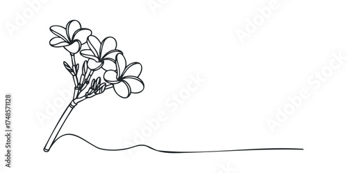 Continuous line drawing of plumeria flowers with stems