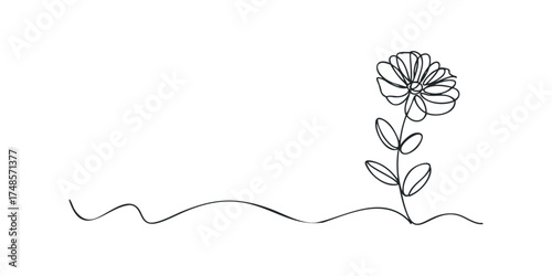 Continuous Line Drawing of a Blooming Flower with Leaves