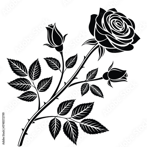 Elegant rose flower silhouette
