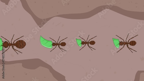 Animated video of a group of ants walking on the ground and carrying leaves, insect, cartoon.