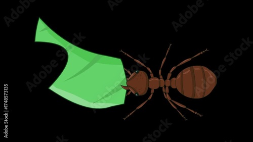 Animated video of an ant carrying a leaf on a black background, art, insect, cartoon.