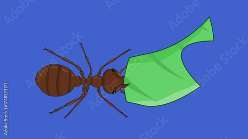 Animated video of an ant carrying a leaf on a blue background, insect, cartoon.