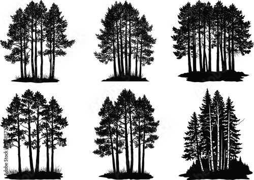 Set of six black tree cluster silhouettes with varied foliage density and branch detail for forest design, nature art, and illustration