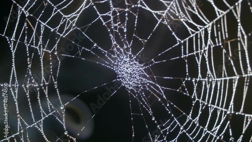 Detailed spiderweb glistening with water droplets against dark background, nature's delicate artwork.
