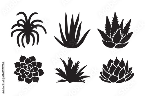 Collection of six black silhouette succulent plant illustrations