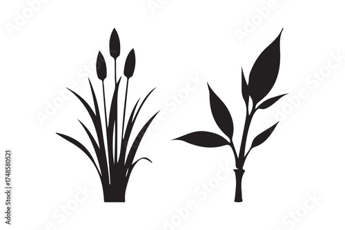 Two black silhouettes of plants on white background