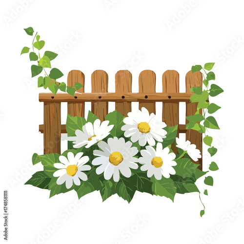 Climbing Ivy Plants and White Daisy Flowers Decorate a Rustic Wooden Fence