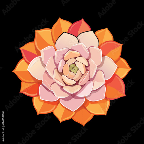Colorful top view illustration of an orange and peach shaded echeveria succulent with thick patterned leaves