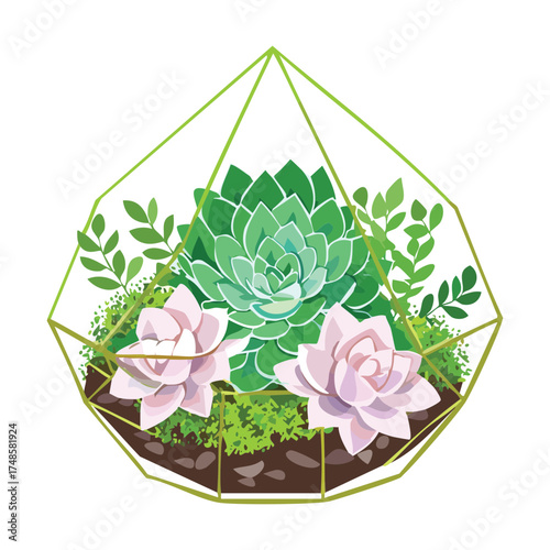Adorable miniature glass terrarium containing a variety of tiny colorful succulent and cacti plants on white