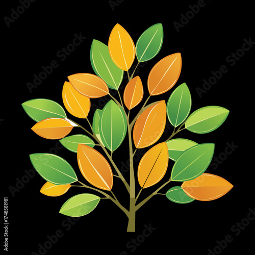 Vibrant Autumn Plants Leaves with Yellow and Green Colors on Black Background