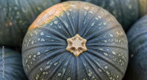 Close-up of a green pumpkin with detailed texture and star-like stem design