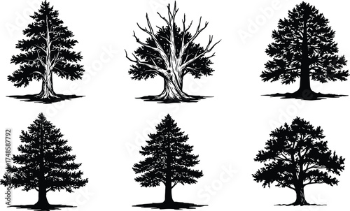  Collection of detailed pine tree and oak tree silhouette vector set, natural forest design elements, isolated black trees for landscape and nature illustration