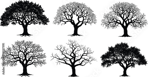  Leafless tree silhouette vector set, detailed forest branch illustration, natural landscape design, black oak tree artwork, winter nature clipart, bare woodland element